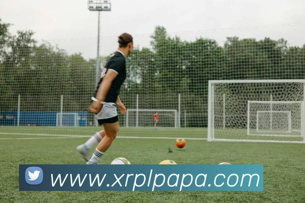 App Interface Preview