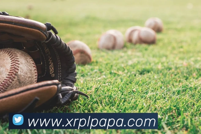 pa真人视讯APP 封面图